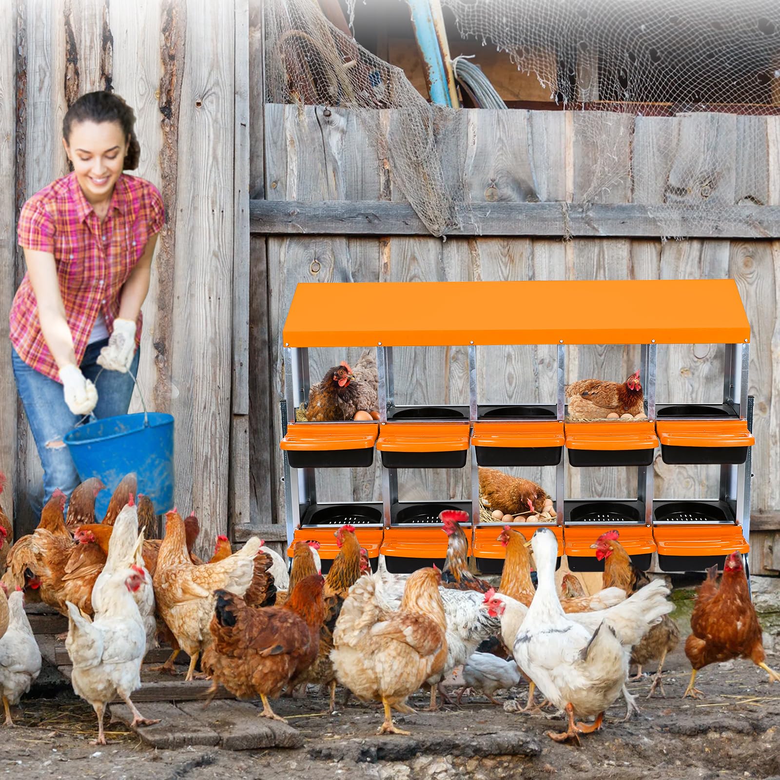 Nichoir à poule en métal robuste à 10 compartiments de ponte