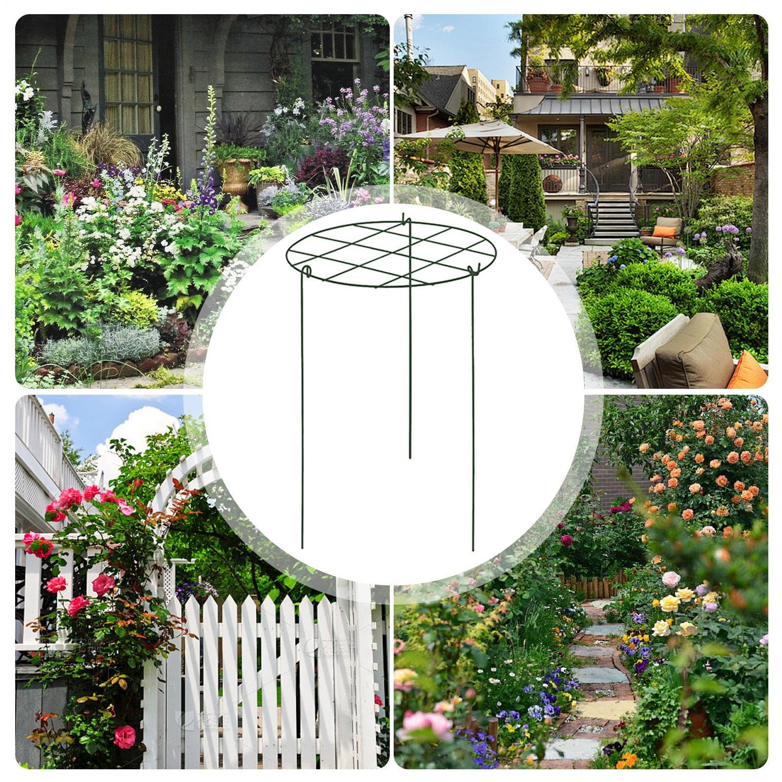 Tuteur pour Pivoines Tuteurs pour d'Intérieur