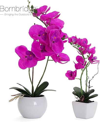 Miniatura 8 de Bornbridge Orquídea artificial, planta de orquídea falsa con flores de tacto real, orquídea sintética con flores artificiales de tallo largo,
