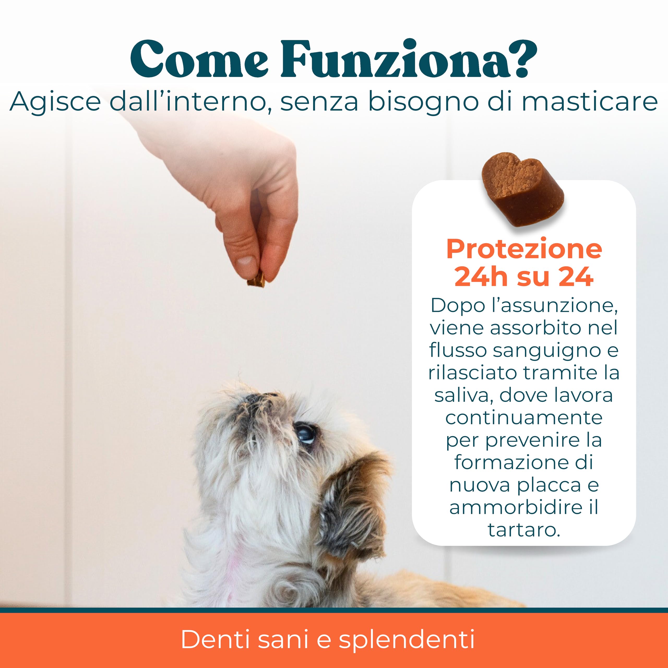 Integratore per Pulizia Denti e Gengive Cani Gusto Manzo - Igiene Orale Cane contro Placca, Tartaro e Alito Cattivo