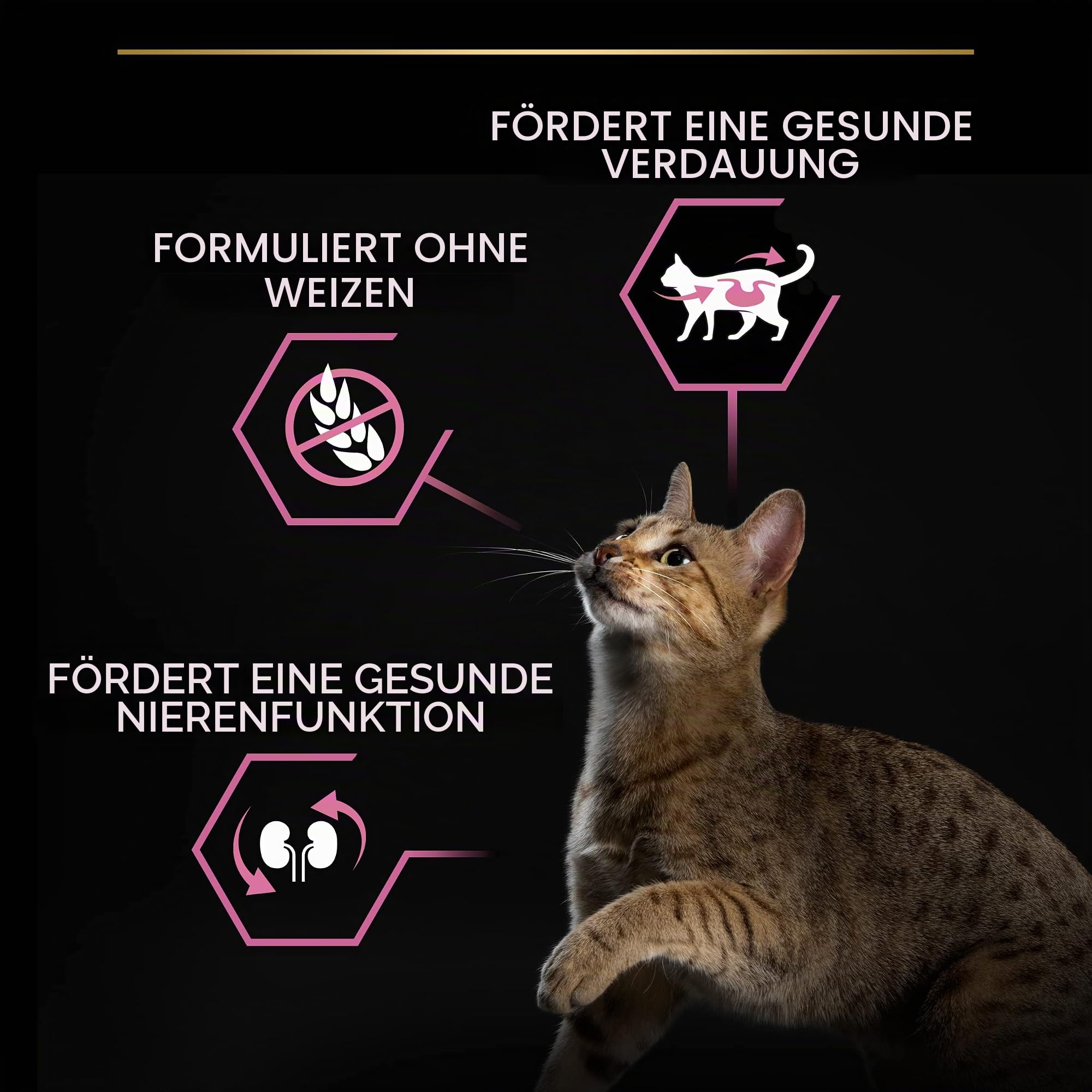 PRO PLAN Cat Delicate Adult OPTIRENAL reich an Truthahn Trockenfutter Beutel 10kg – Ansicht 6