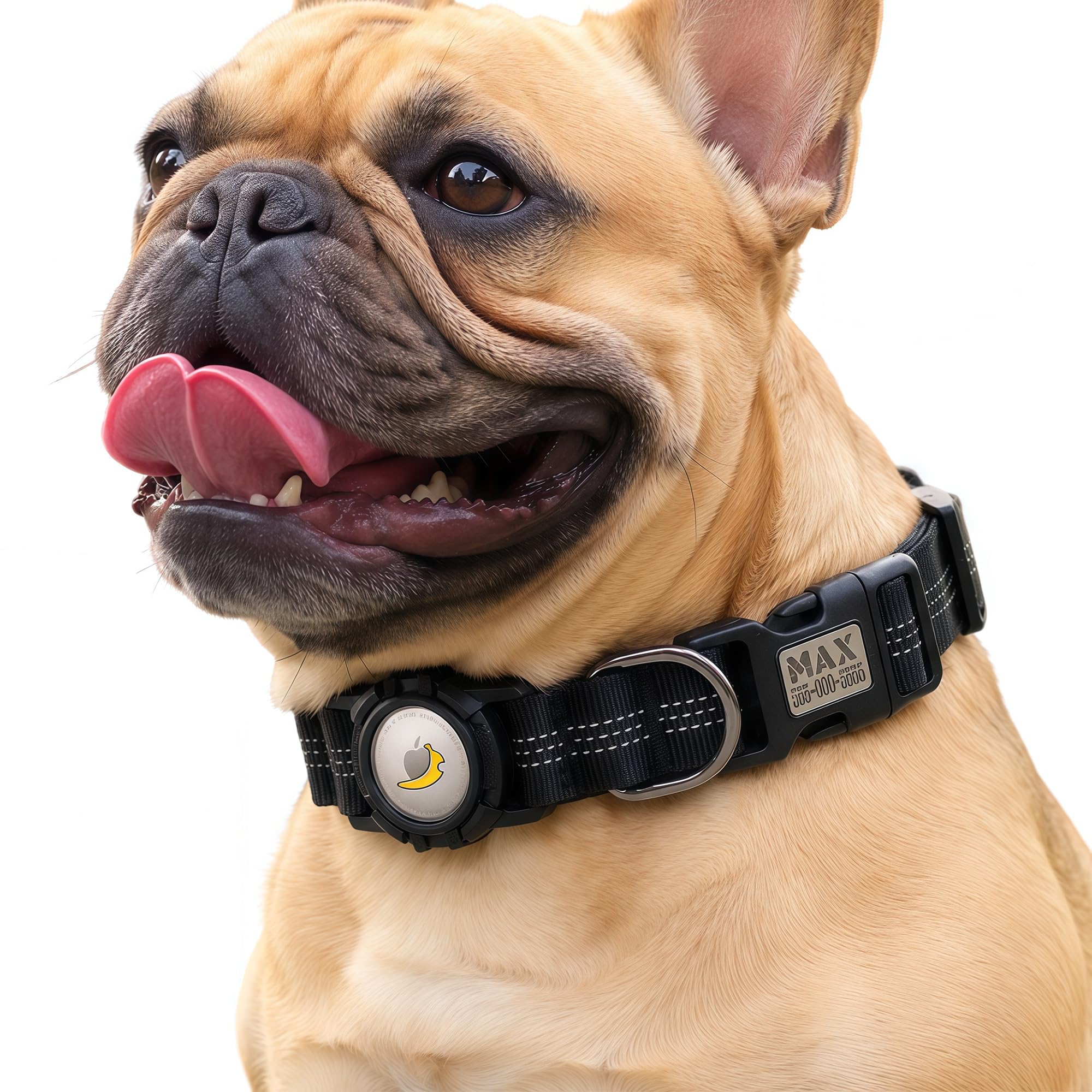 CEMULA Personalised Nylon Dog Collar Compatible with Apple AirTag
