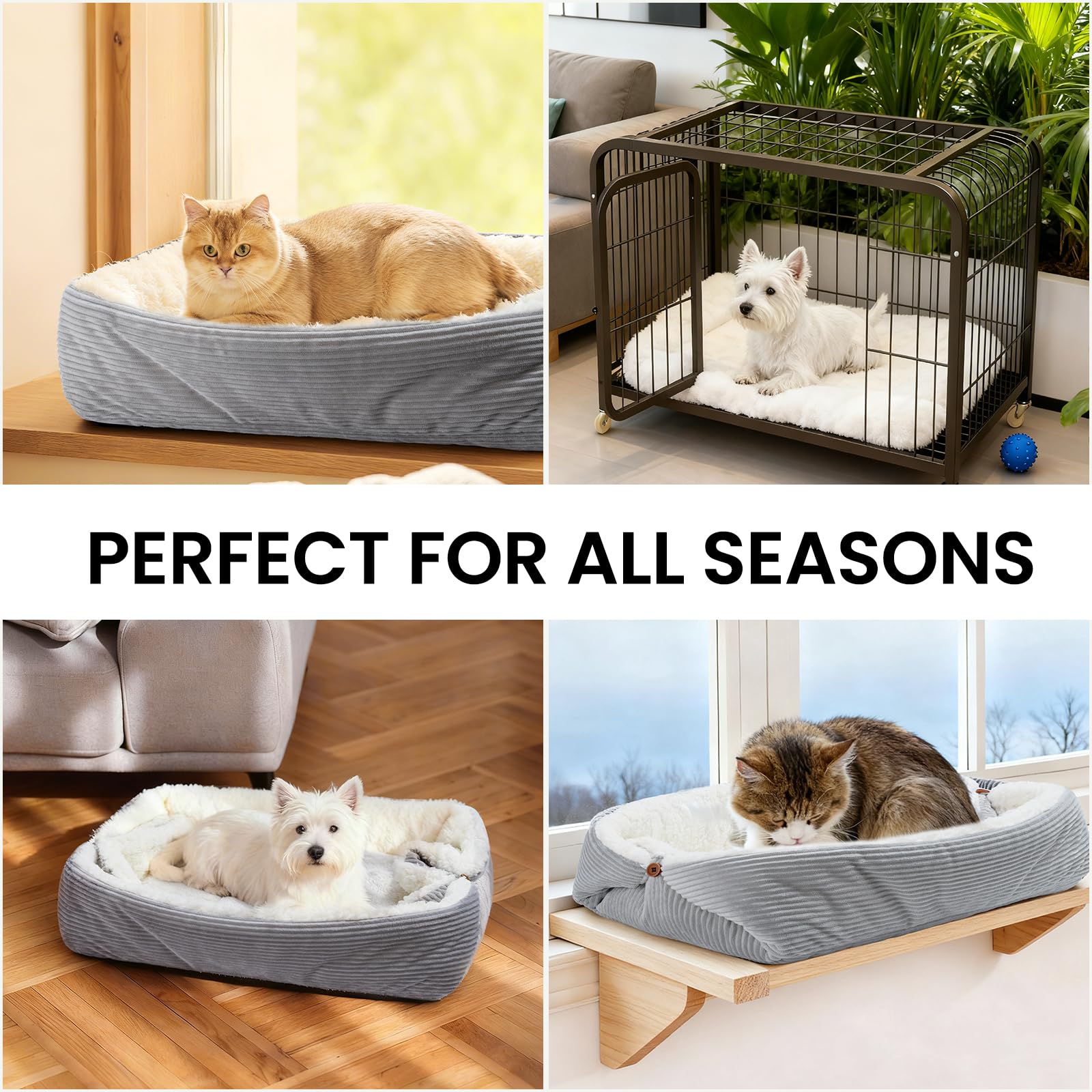 Letto per Gatti Auto-riscaldante per Gatti Grandi e Piccoli Cani - 60x45 cm Letto per Gatti Lavabile, Reversibile e Convertibile per Gatti da Interno, Morbido Cuscino per Animali Domestici in