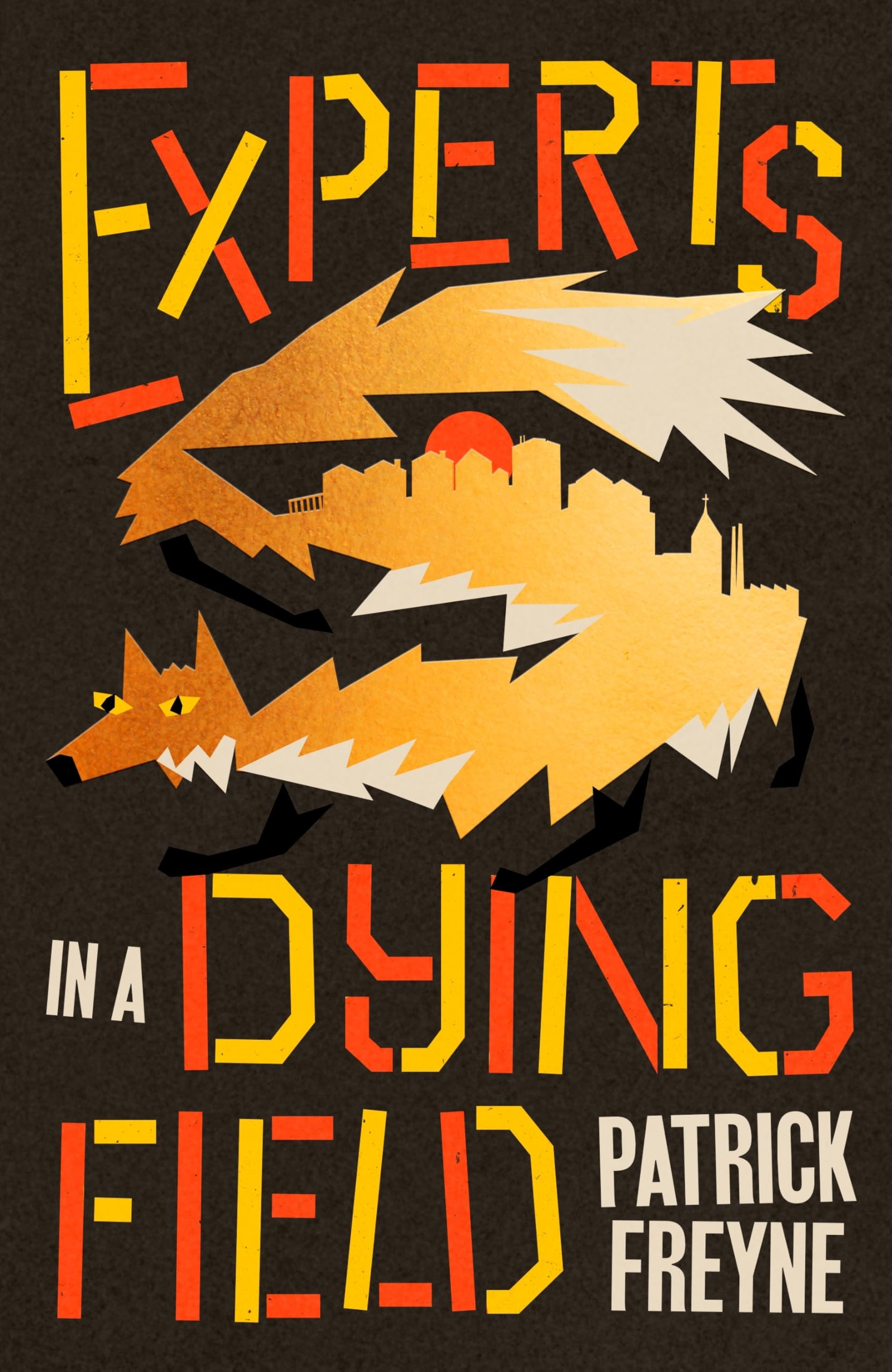 SIGNED - Experts in a Dying Field By Patrick Freyne SPRAYED Edge New Hardback