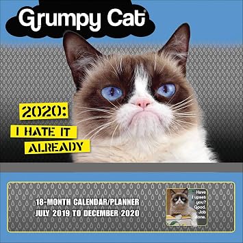 Grumpy Cat 2020 Calendar Family Planner Organizer with Magnetic Hanger, Storage Pocket and Stickers 18-Month July 2019 December 2020