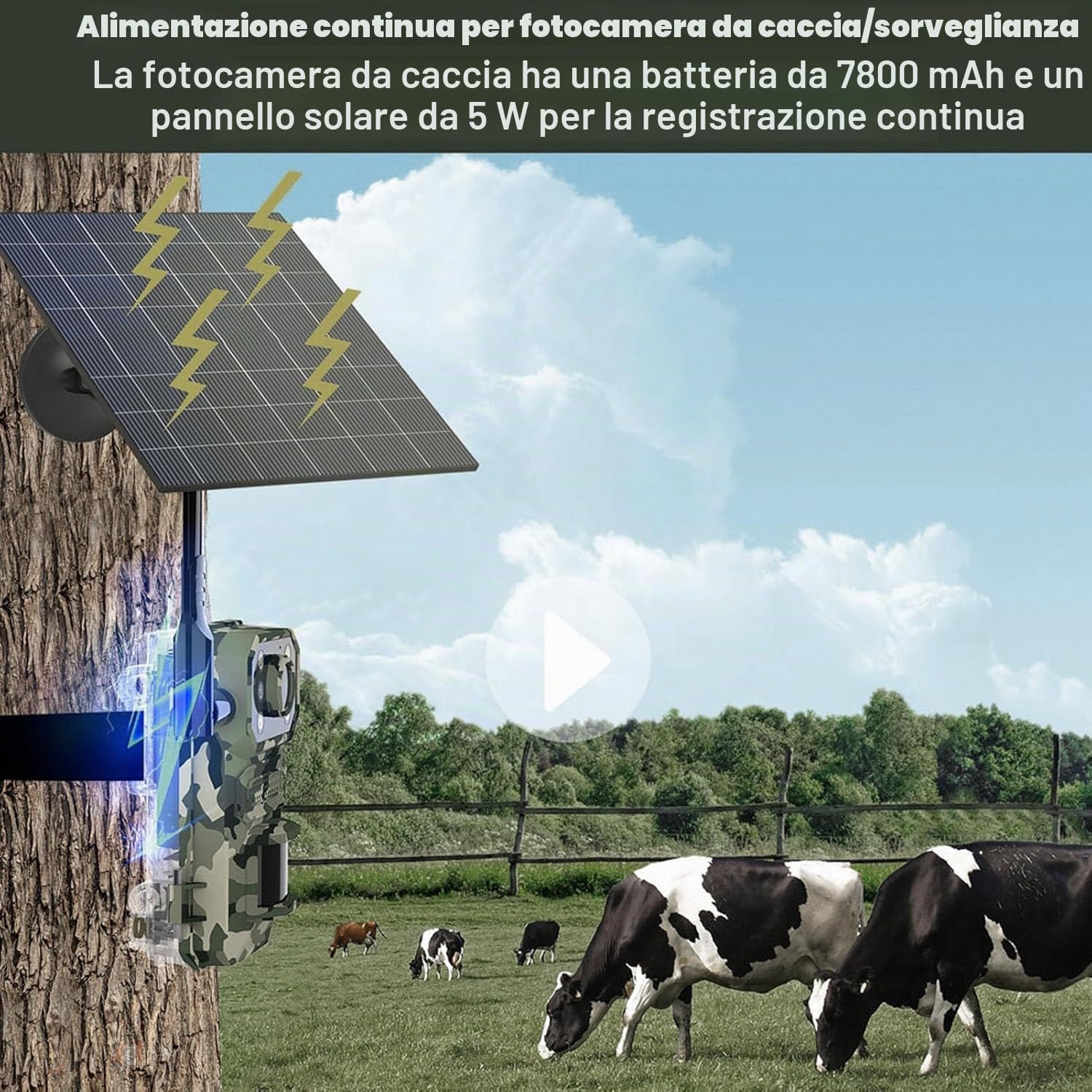 Fototrappola 4G 4K dotata di Pannello Solare, con Visione Notturna, 14MP, IP66, Angolo 120°, Rilevamento 25m, App Ucon, Ricarica Type-C – Telecamera da Caccia Professionale - CW984