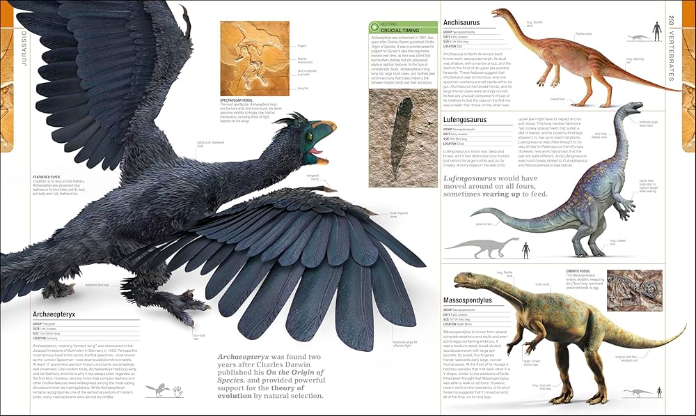 【DK洋書ハードカバー】PREHISTORIC Hardcover Dinosaurs and Prehistoric Life: The Definitive Visual Guide
