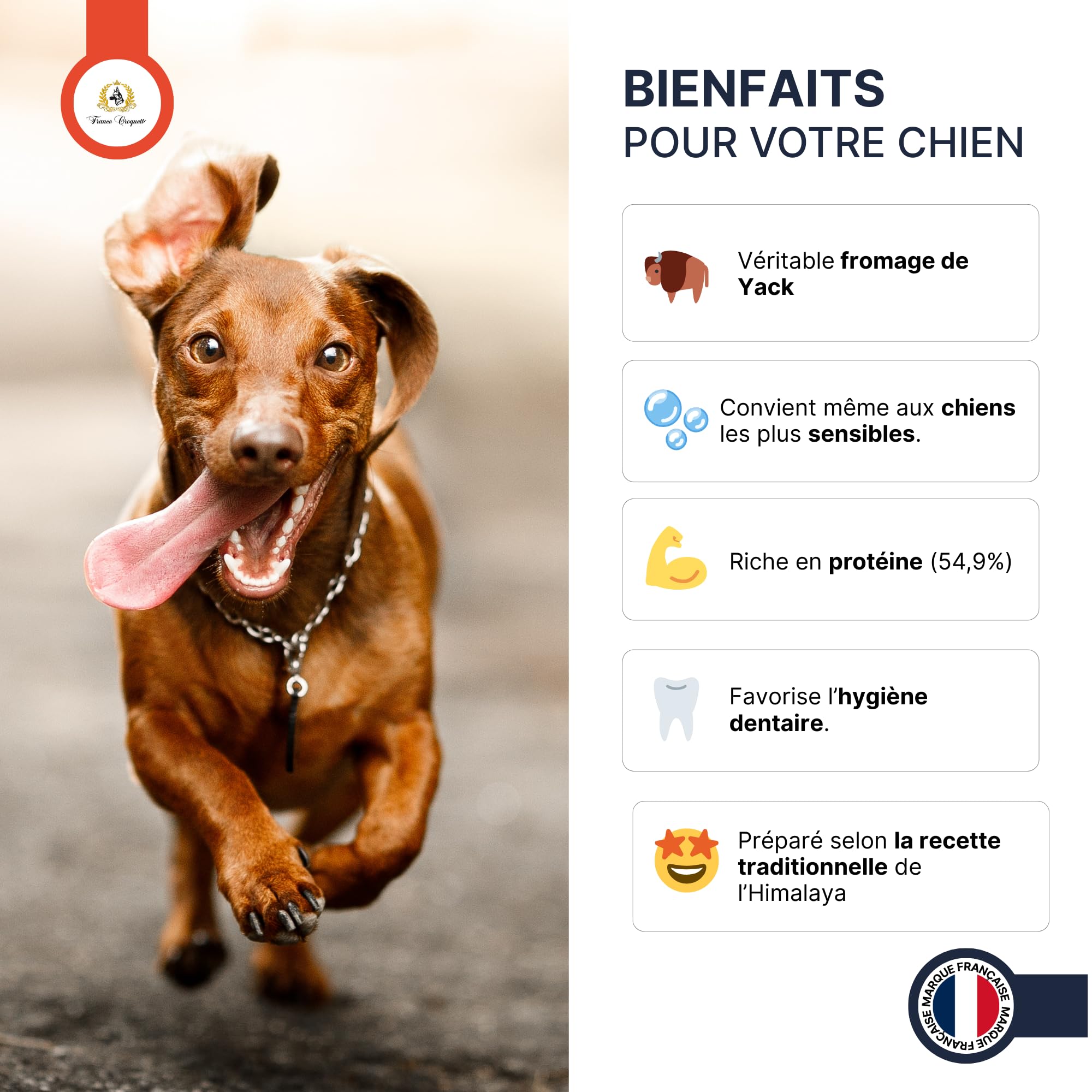 Fromage de Yak M 60g-90g pour Chien Moins de 20kg – friandise 100% Naturelle à mâcher – fabriqué au népal – Riche en protéines – hygiène bucco-Dentaire – Longue durée – france croquettes