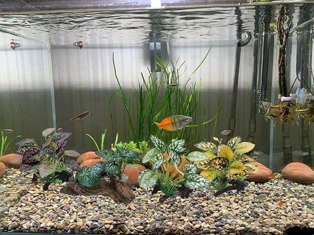 Foto 6 de 6 de M2cbridge Plantas artificiales para peceras, plantas de plástico para acuario