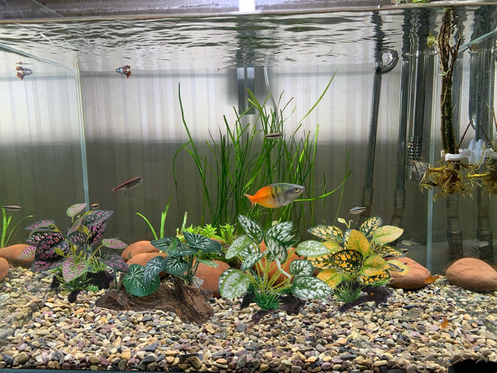 M2cbridge Kunststoff-Aquarienpflanzen – 2 Stück, 20,3 Cm, Seidige Blätter, Für Fisch & Reptilien