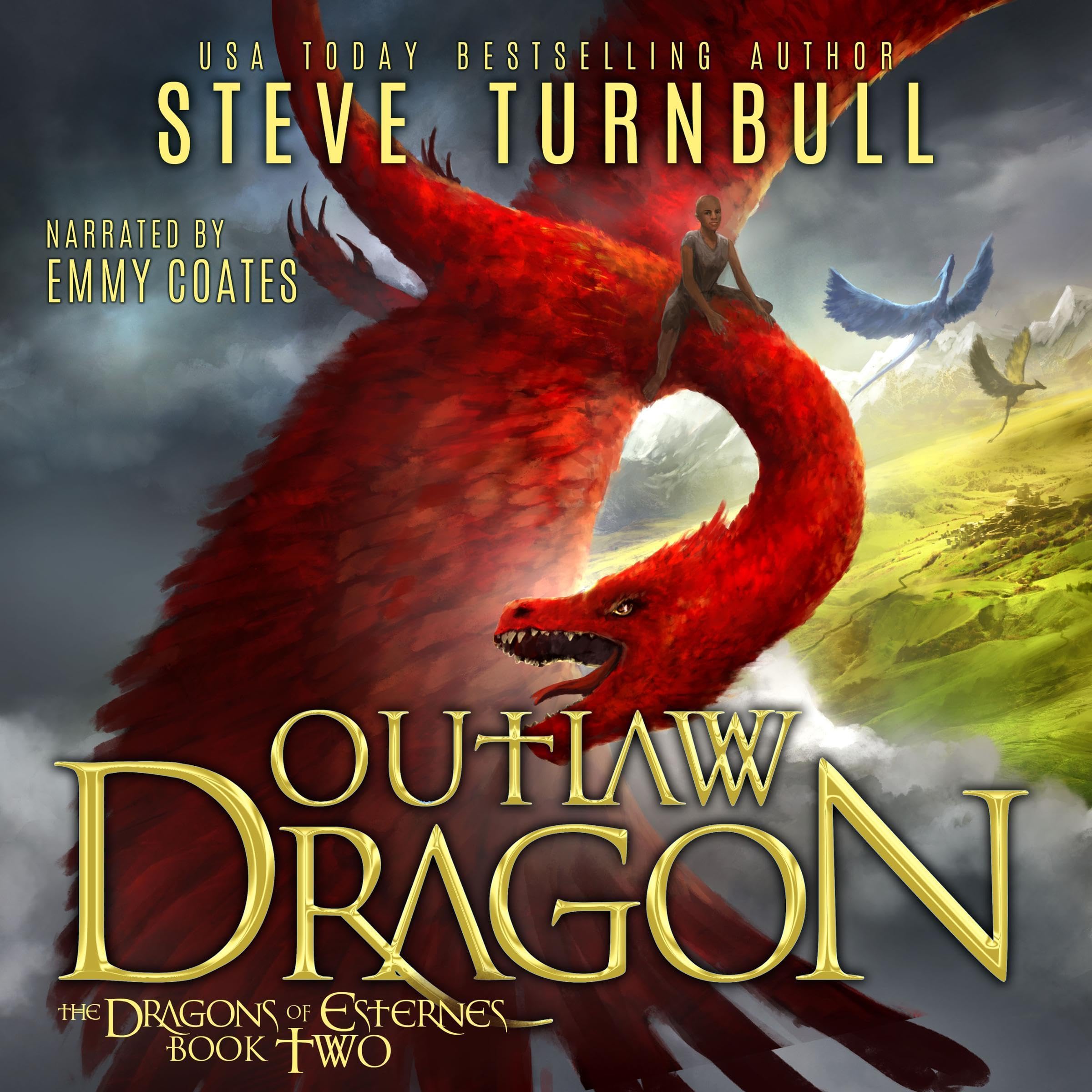 Cover art for Outlaw Dragon