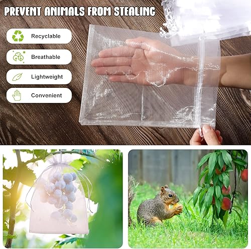 Miniatura 6 de WenTao 50 bolsas de protección de frutas de 6 x 9 pulgadas, bolsas de malla blanca con cordón para uvas, mango, árboles frutales, verduras, barrera