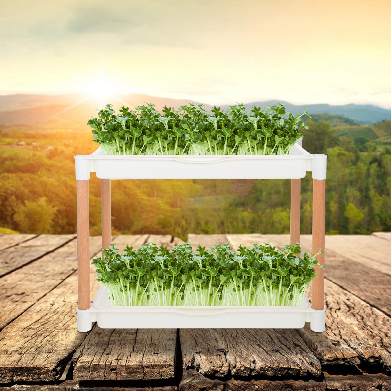 Beaupretty Keimschale Soillose Anzuchtplatte aus Dickem Pp Material Doppellagige mit Maschenlöchern für Microgreens und im und Esszimmer