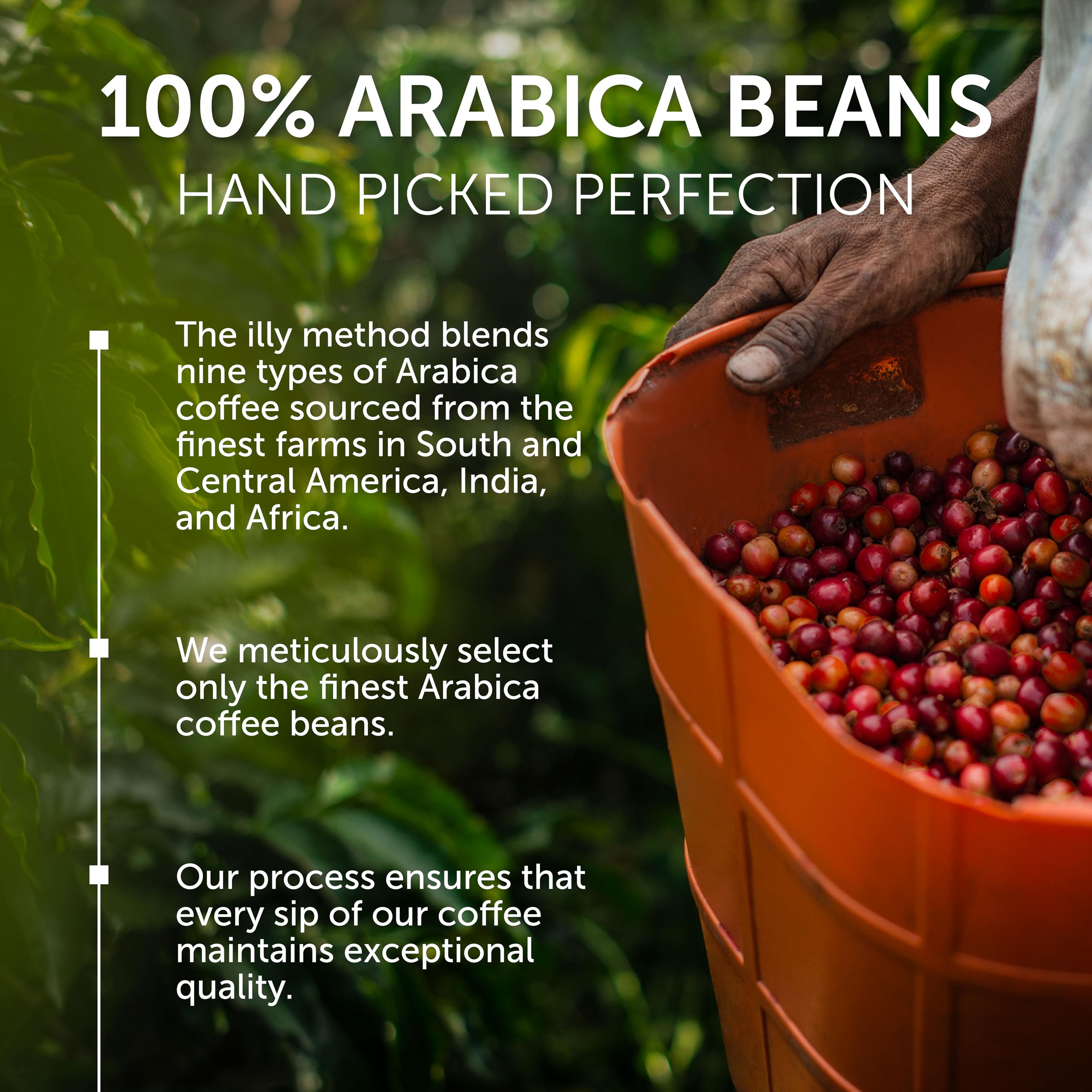illy Kawa mielona do garnków na kubki CLASSICO palona, 100% Arabica z nutami kwiatu pomarańczy i jaśminu, miękki i słodki smak, 12 opakowań po 250 g (łącznie 3 kg)