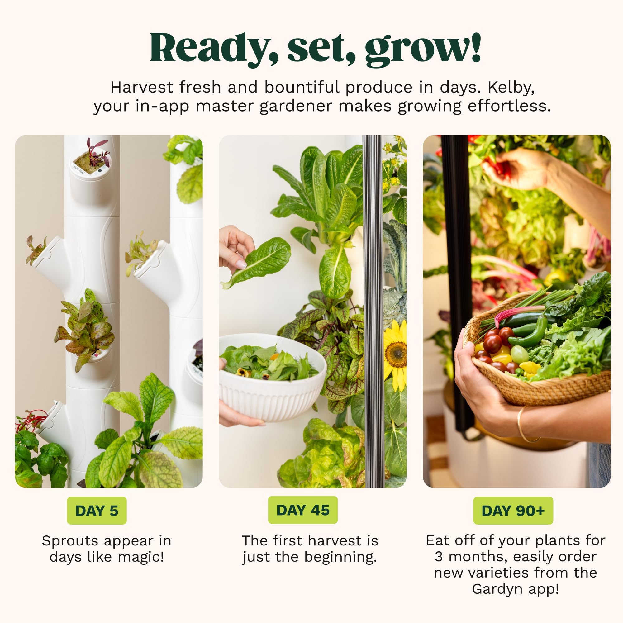 Gardyn Studio 1 Vertical Hydroponics Growing System Kit - 16 Non-GMO Plants, Herbs, Vegetables - Tower Garden - Hydroponic Herb Garden Planter Indoor Kit - Indoor Gardening System with LED Grow Lights