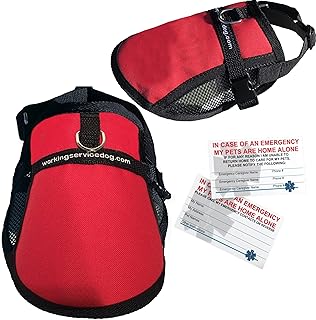 Mesh Dog Vest | Lightweight Cooling Dog Harness | No Pull Dog Harness | Includes Two Pet Emergency Care Cards (Red, 9