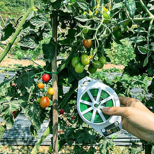 Miniatura 5 de Shintop 328 Enrollador de manguera con cortador para jardinería, hogar, oficina, Verde