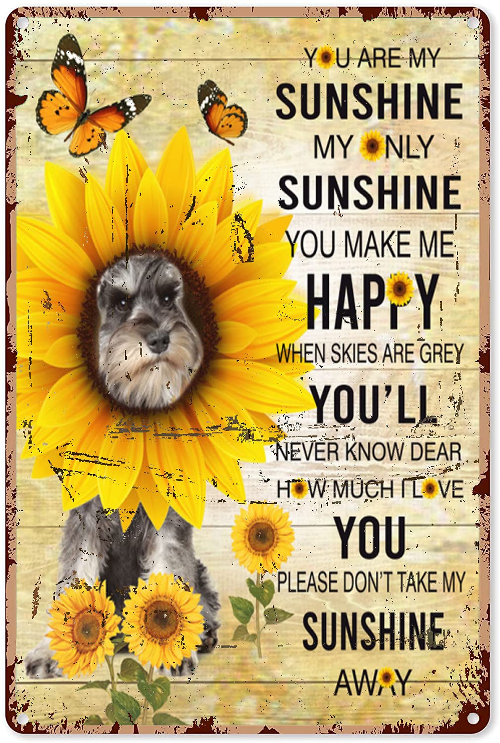 Bioprocess Sunflower Decor For Kitchen Miniature Schnauzer You Are My Sunshine My Only Sunshine Home Decor Art Wall Decor Metal Sign Poster 8X12 Inches