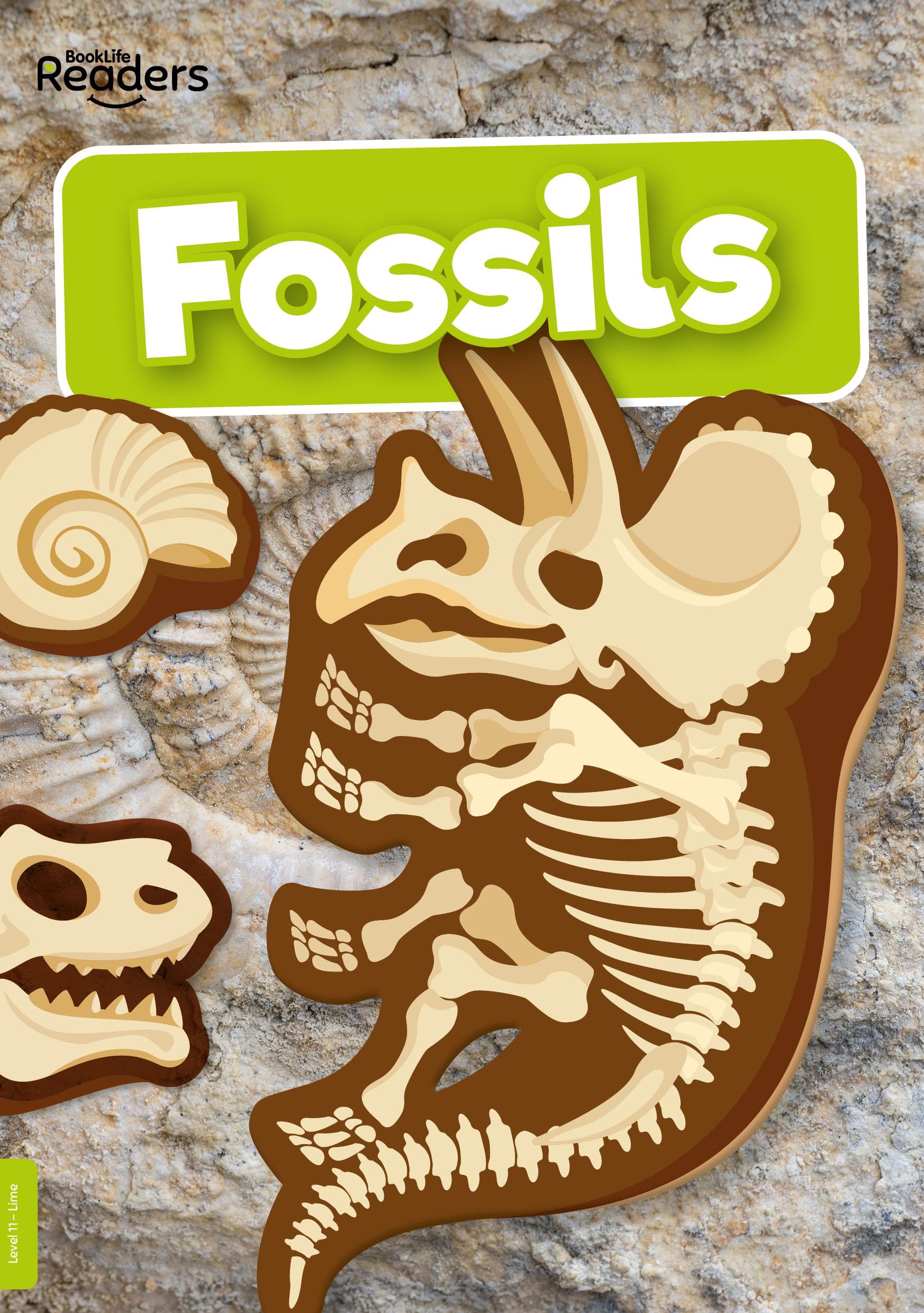 Fossils (BookLife Non-Fiction Readers)