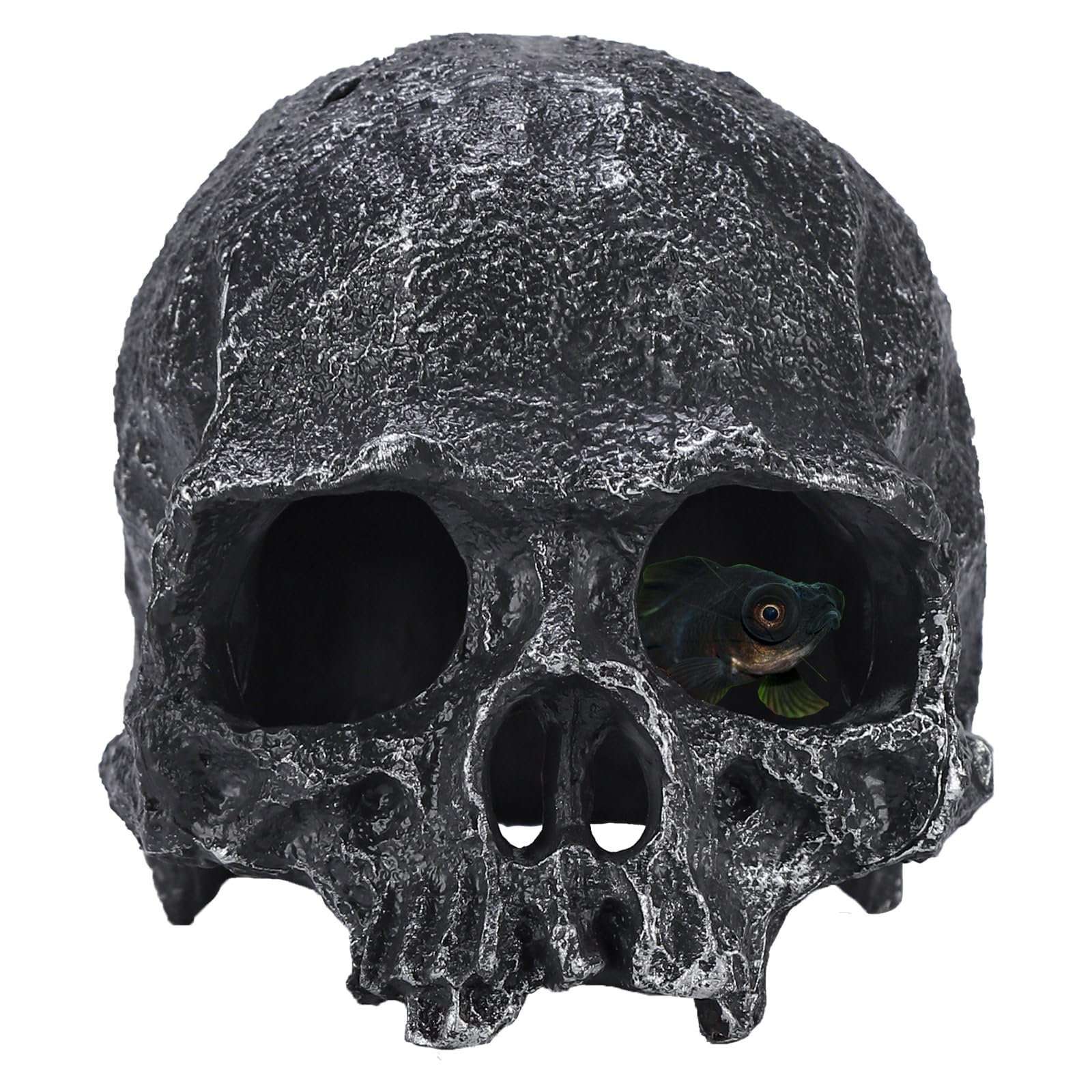 TkoYuHm Resin Reptile Hideout - habitat decor | Mubboo
