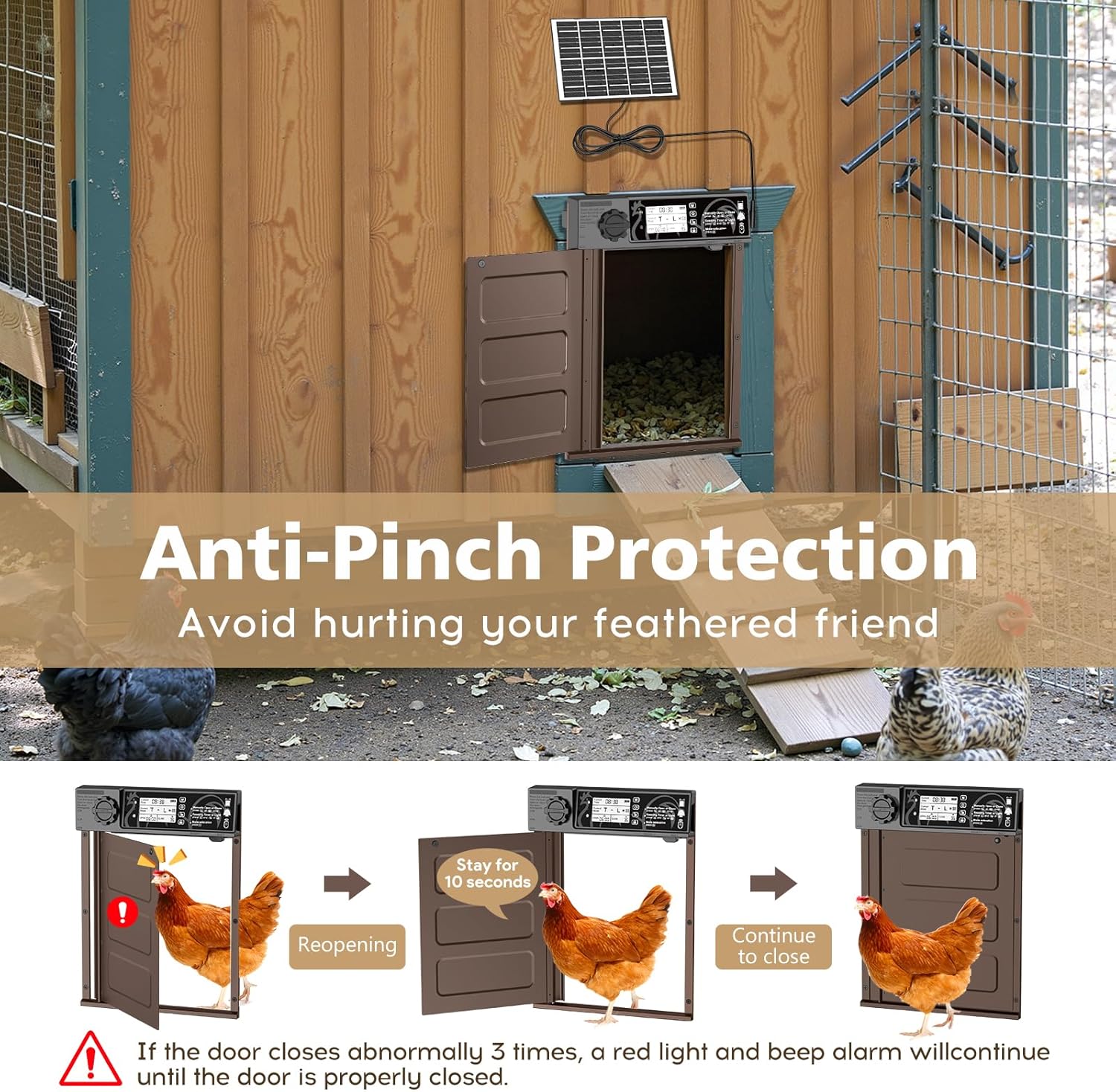 Sequence showing anti-pinch protection: door detects chicken, reopens, waits 10 seconds, then continues to close.