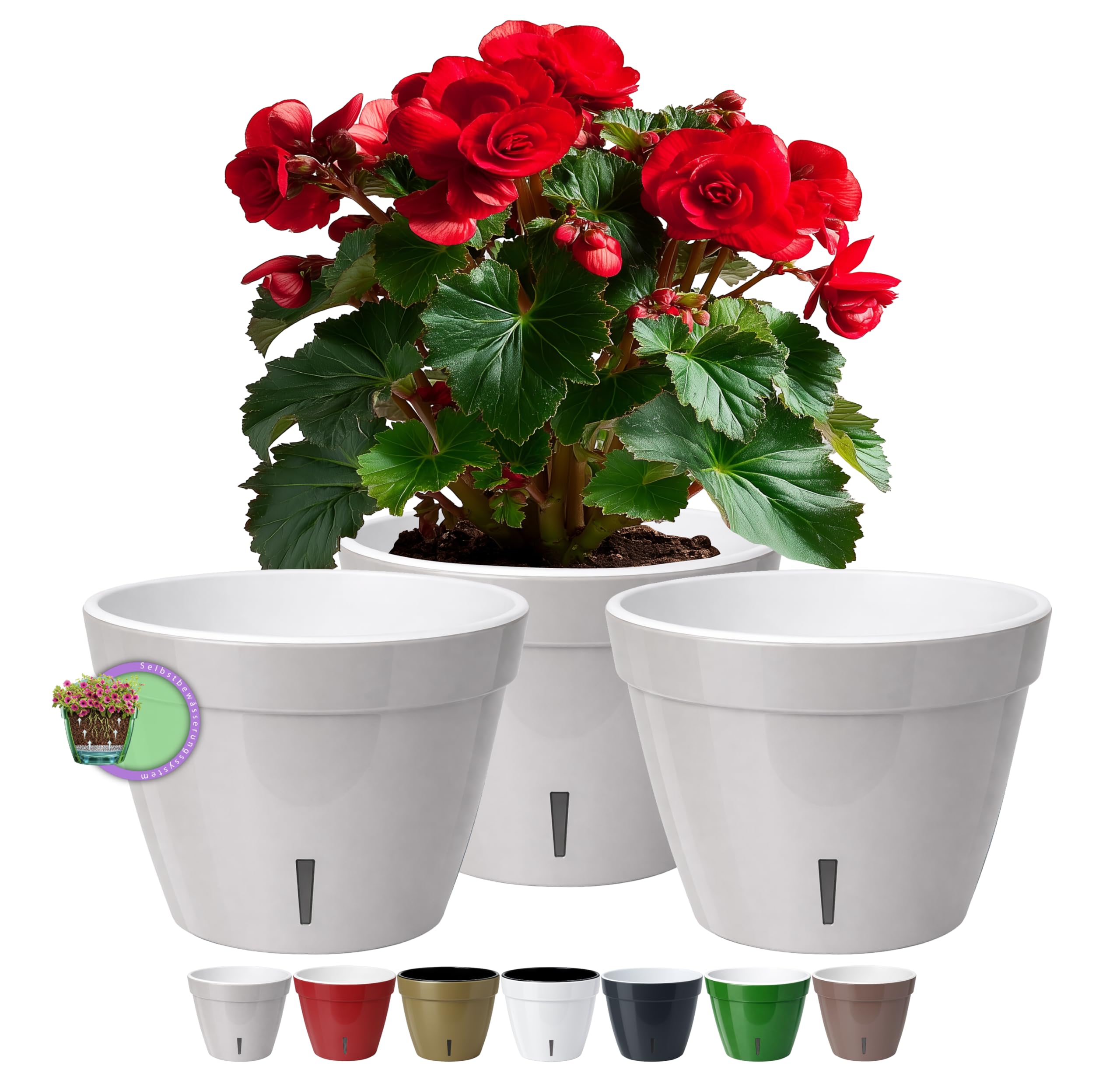 Gris/Blanco - Set Of 3