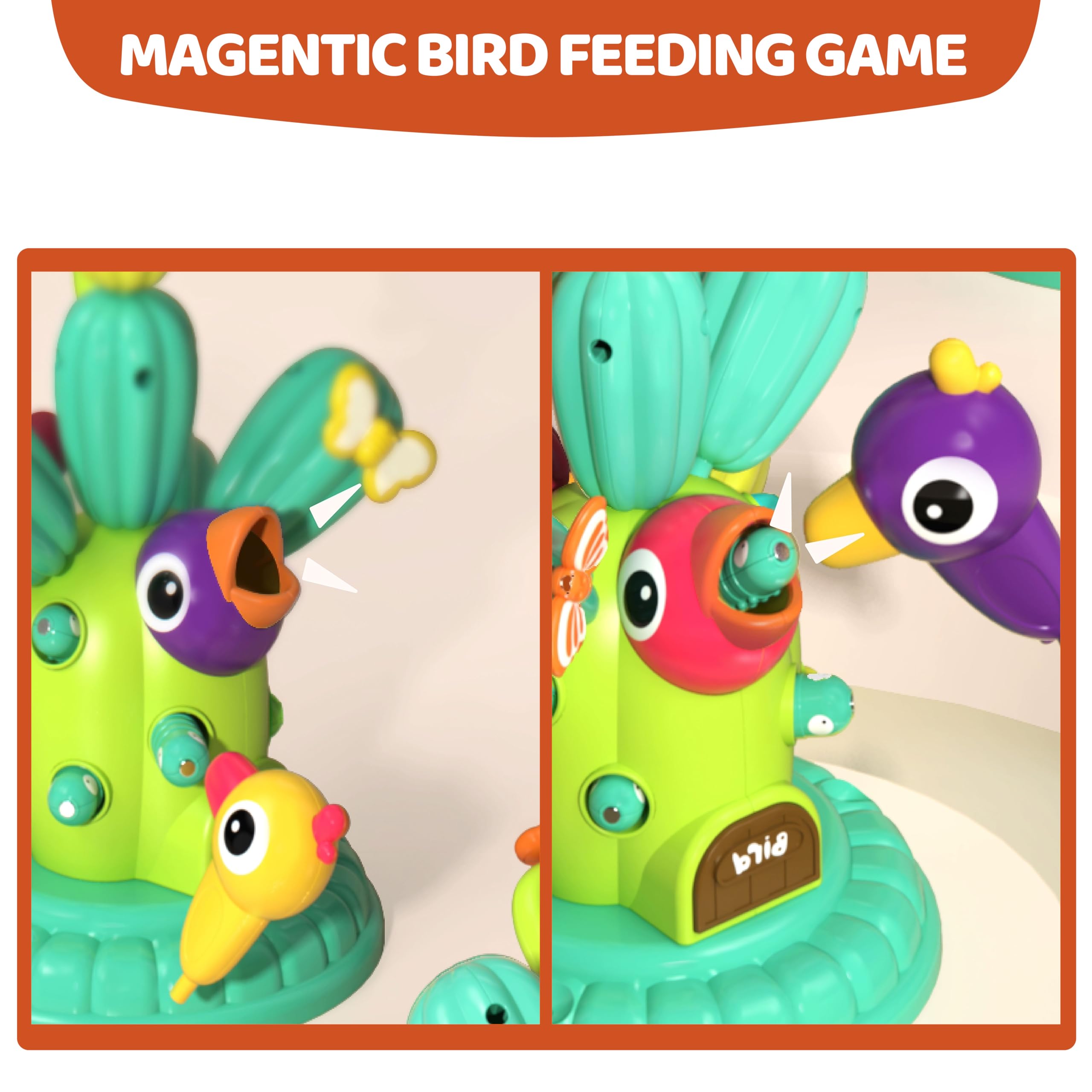 OLMURI Cactus Garden Toy for 3+ Age Girls and Boys, Flower Garden Building Toy with Magnetic Bird Feeding Game, Educational Preschool Birthday Gifts - Image 3