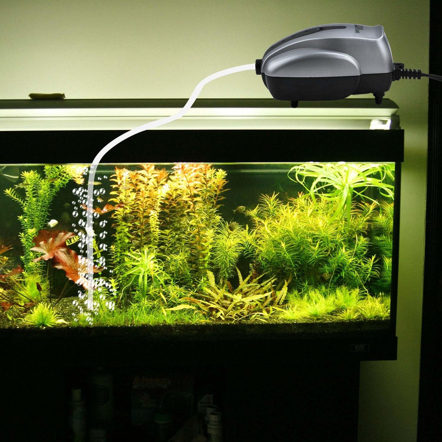 ランキング第1位 Ada 水槽セット 13点 追加 底面フィルター用エアーポンプ 30cm 魚用品 水草 Samgypsum Com ランキング第1位 Ada 水槽セット 13点 追加 底面フィルター用エアーポンプ 30cm 魚用品 水草 Samgypsum Com