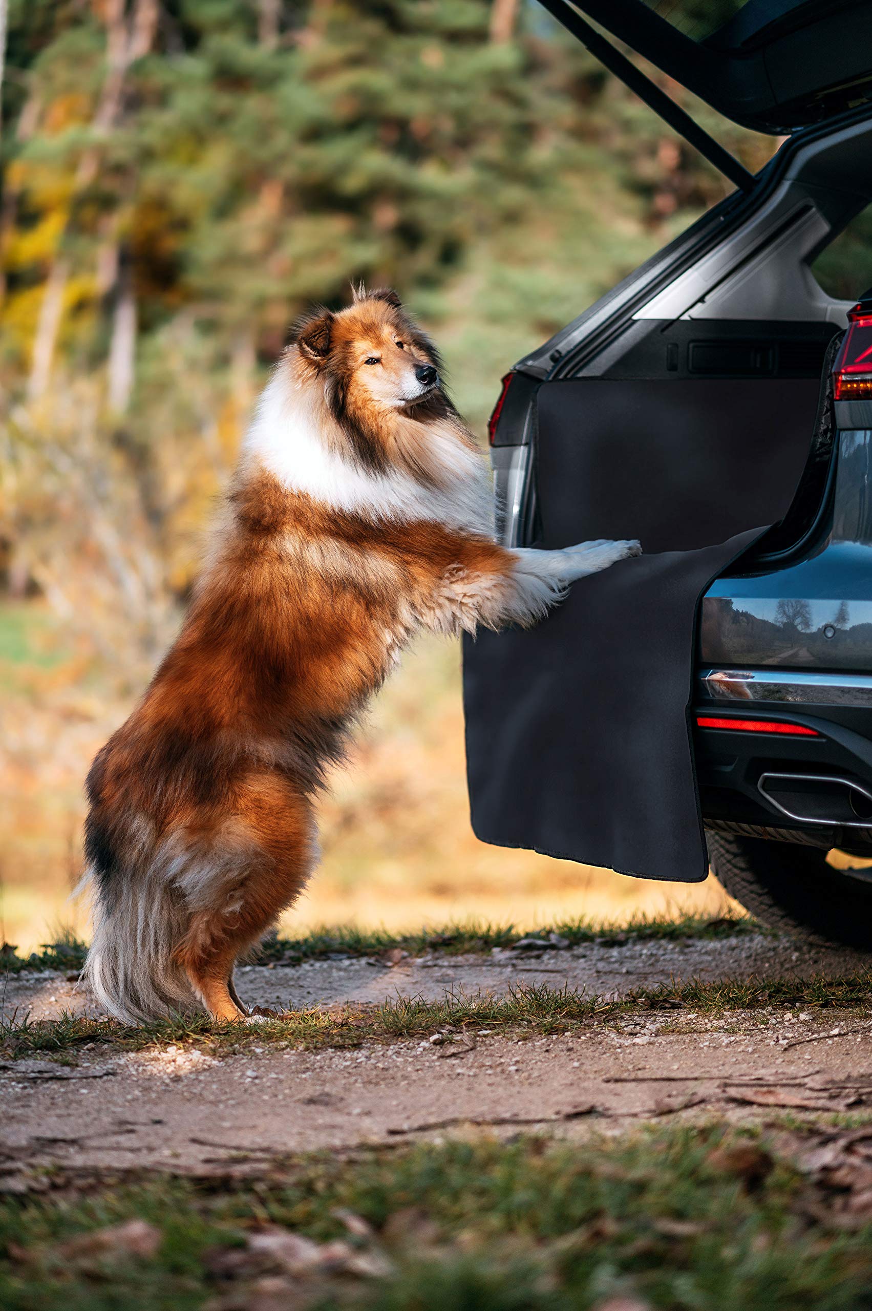 Protection Coffre Voiture 96x64 Cm - Universelle, Pliable, Antidérapante, Pour Chien, Bagages, Rangement