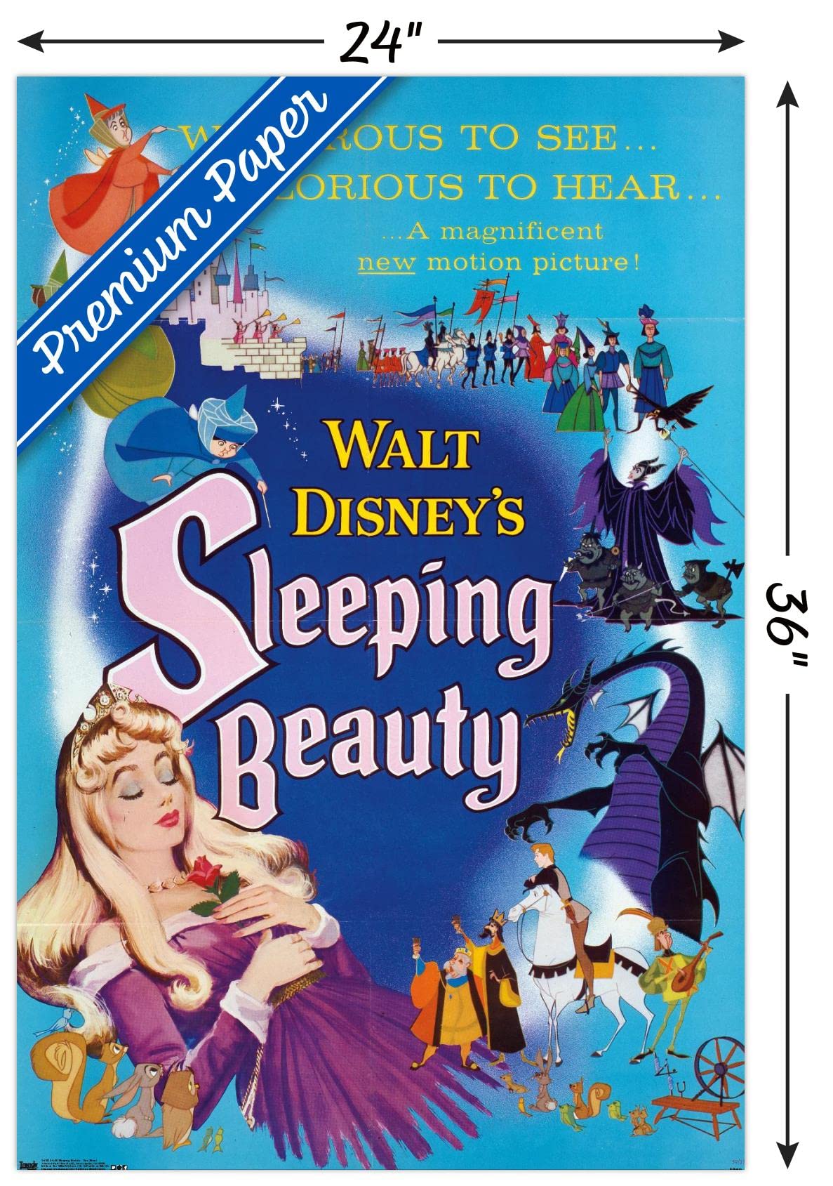 Amazon.com: Trends International 24X36 Disney Sleeping Beauty