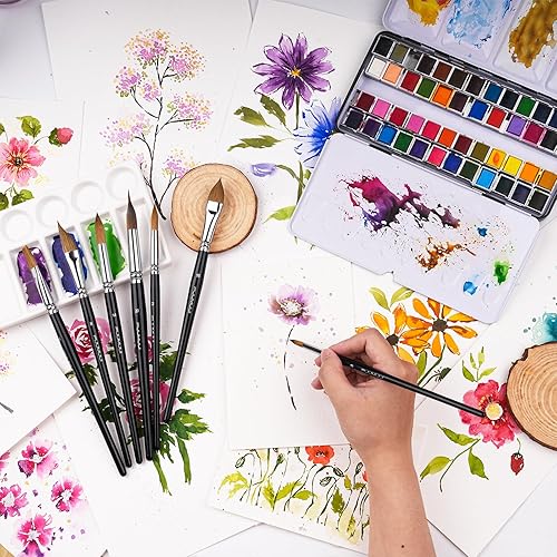 Rosemary & Co Series 33