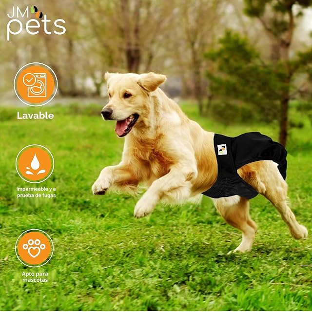 Foto 8 de 8 de Pañales Reutilizables para Perros JM - Interior Altamente Absorbente, Transpirable y Exterior Impermeable