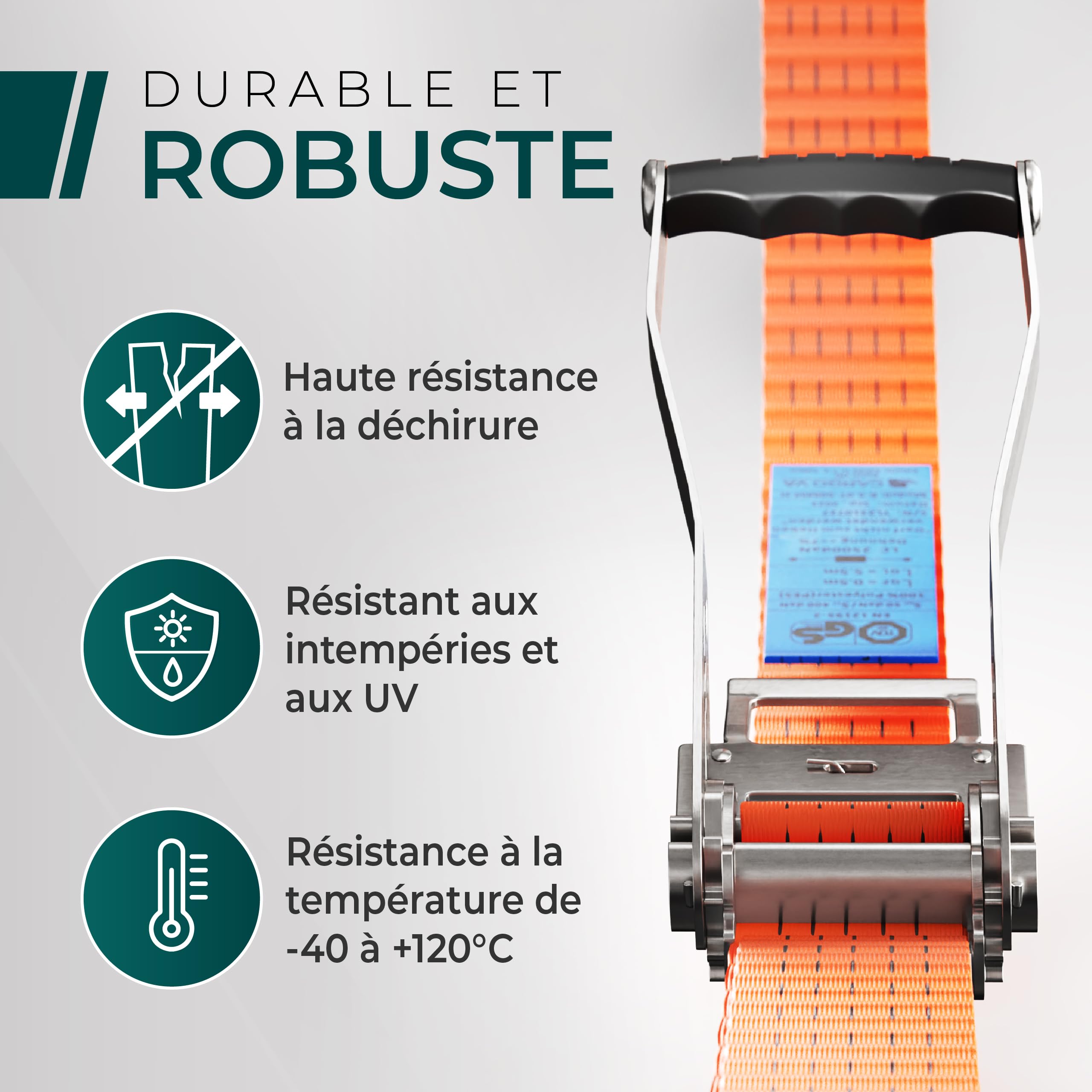 CargoVA® Lot de 2 Sangle a Cliquet Robustes de 5000 kg, Certifiées TÜV/GS et DIN Sangle Arrimage, Largeur 50 mm x 6 m, Sangles à Cliquer Idéales pour Les Applications Professionnelles