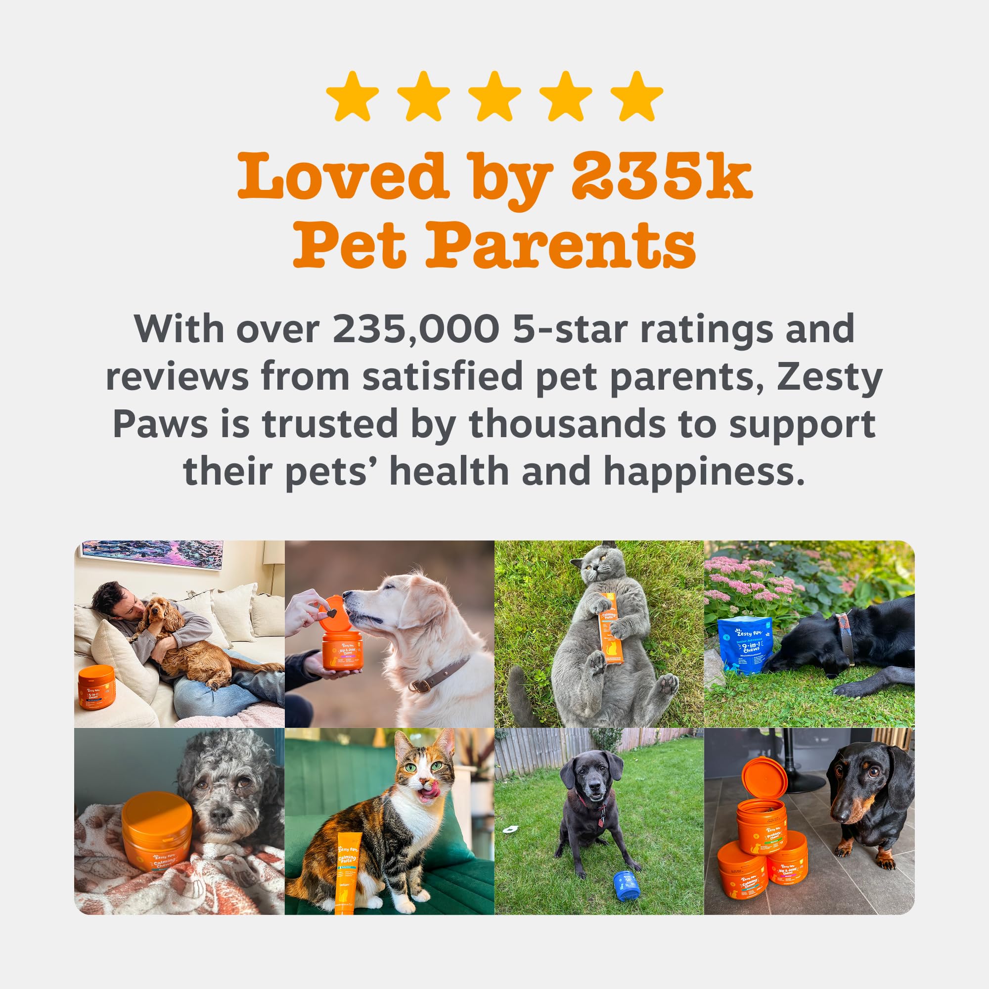 Zesty Paws Hip & Joint Salmon Oil | Joint Support for Active Pets | Omega 3 | Helps Maintain Healthy Joints | Salmon Oil for Dogs and Cats | 250ml