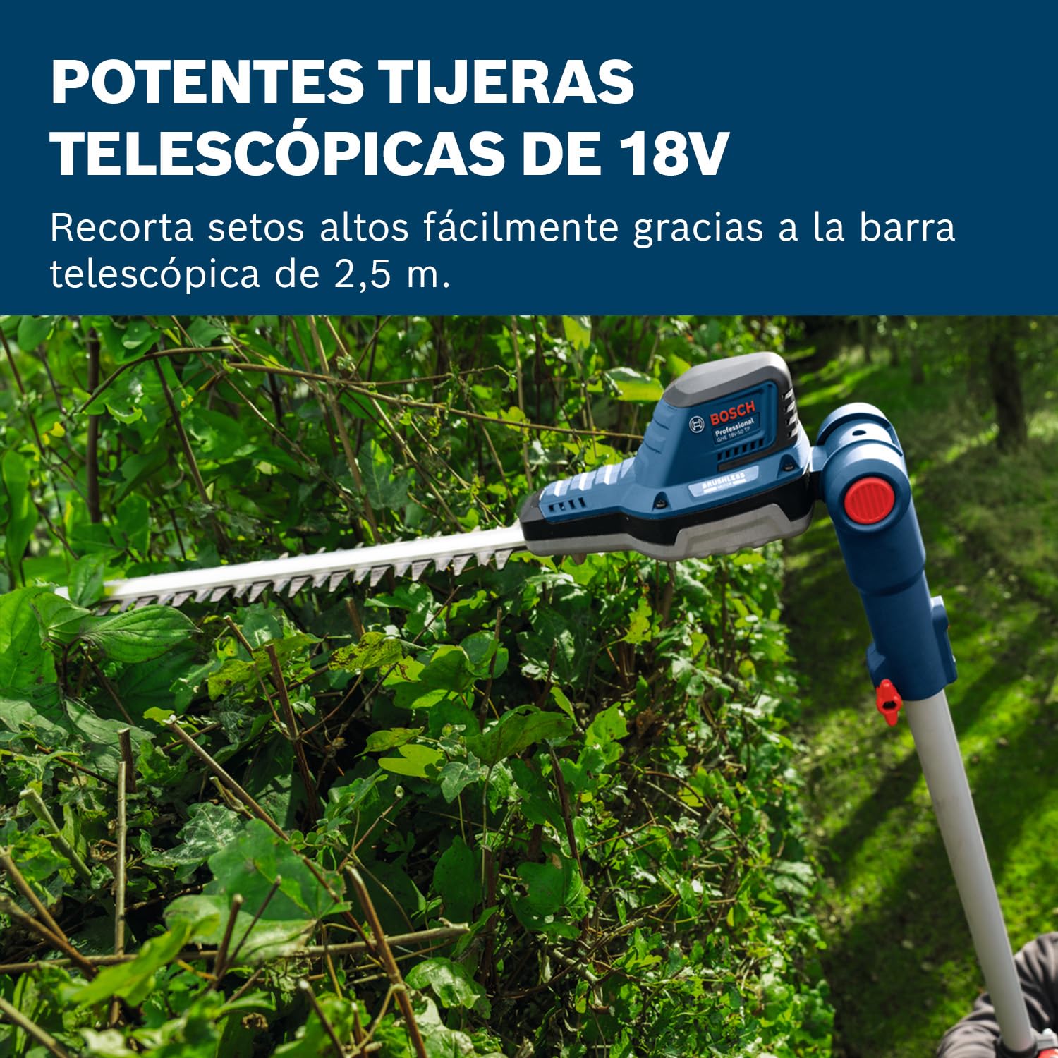 Bosch Professional 18V System sierra de bastón telescópico GHE 18V-50 TP (bastón telescópico de 2,5 m, 3400 carreras por minuto, apertura de dientes de 23,5 mm, correa de hombro incl., sin batería)