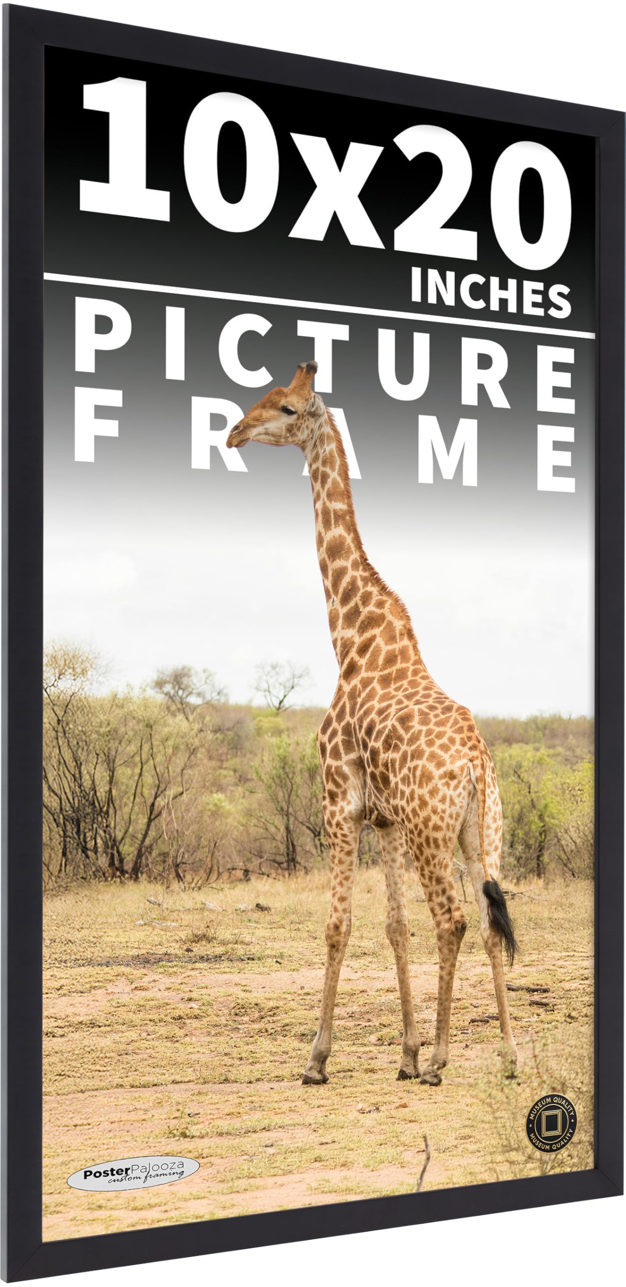 Poster Palooza 10x20 Contemporary Black Complete Wood Picture Frame
