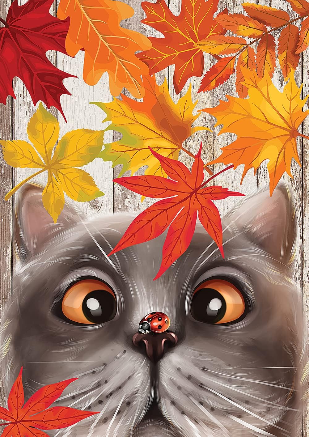 Amazon.com : Toland Home Garden 1112655 Fall Cat and Ladybug Fall Flag ...
