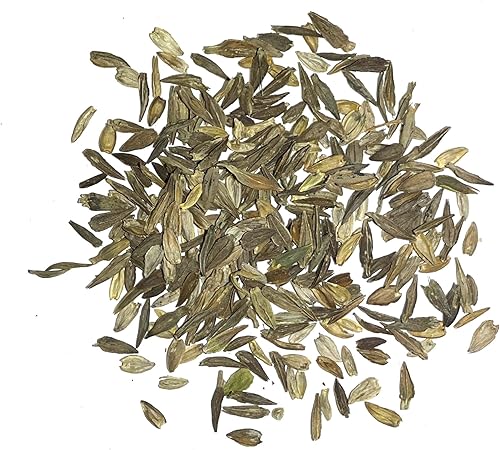 Miniatura 6 de Seed Needs Semillas de Zinnia para plantar zinnias de llama escarlata, reliquia y flores de corte anual de polinización abierta, perfectas para