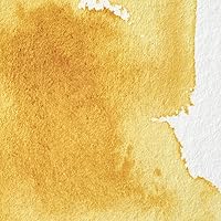 Vista 319 de Winsor & Newton - Pintura para acuarela profesional