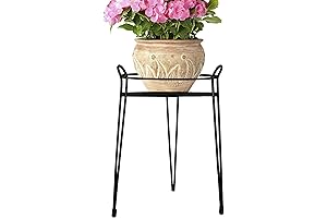Cobraco 15-Inch Classic Black Basic Iron Plant Stand