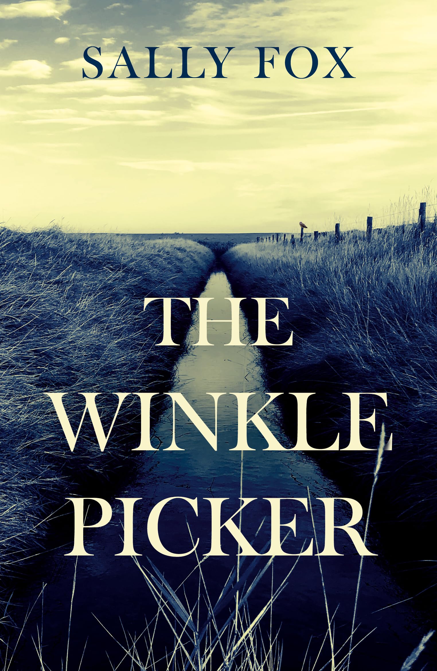The Winkle Picker by Sally Fox PAPERBACK 9781836285601
