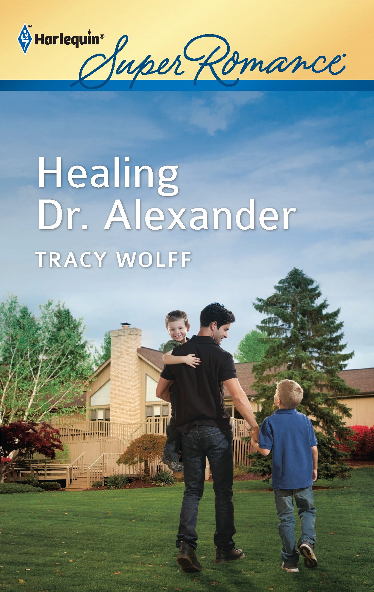 healing-dr-alexander-harlequin-superromance-band-1781-wolff-tracy-amazon-de-books