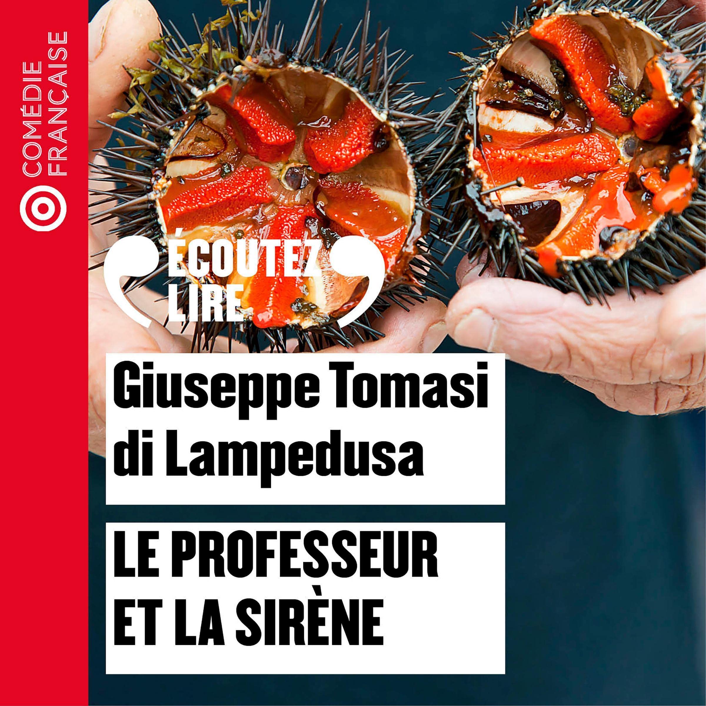 Cover art for Le professeur et la sirène