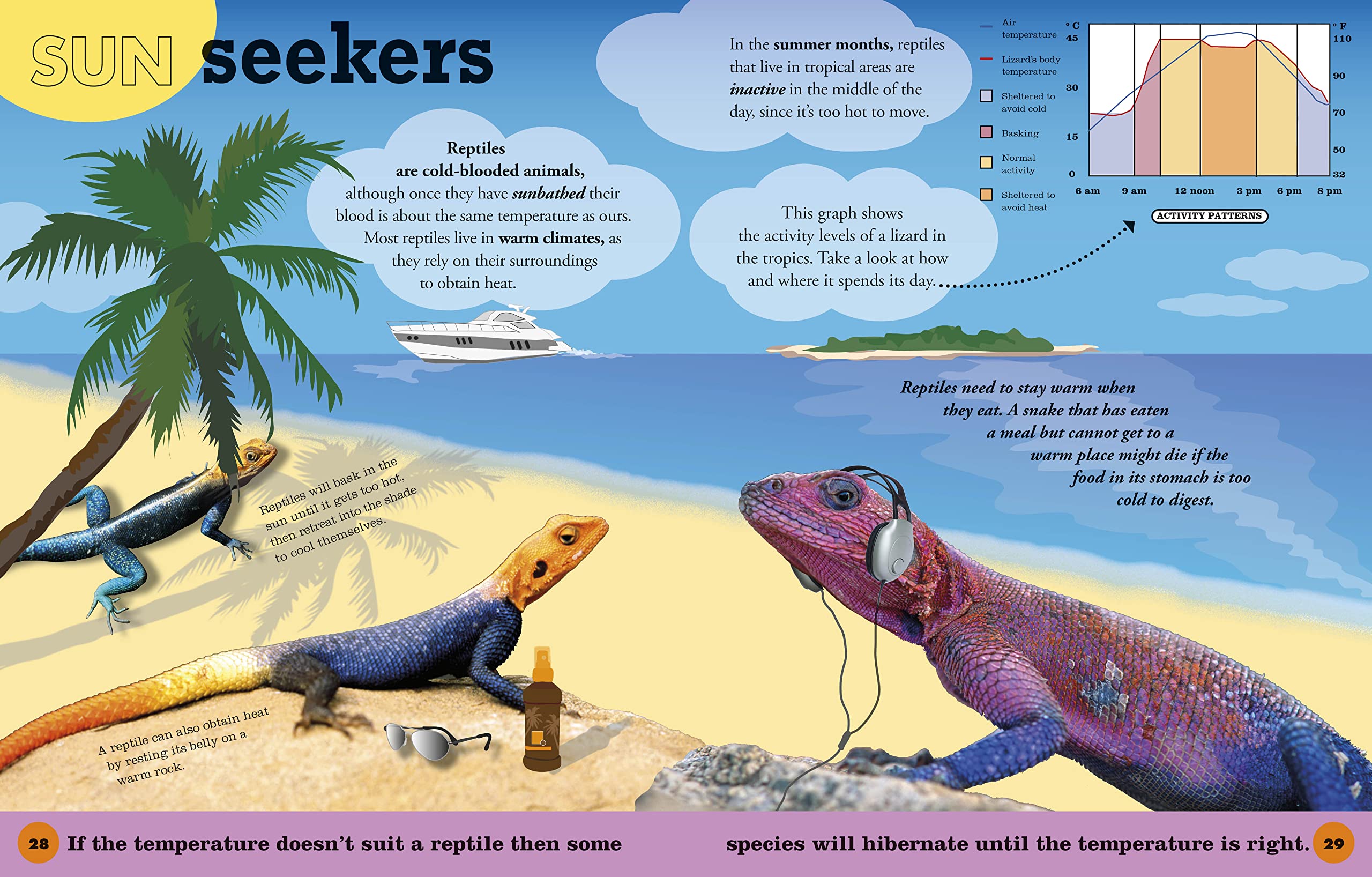 Everything You Need to Know About Frogs and Other Slippery Creatures - Image 4