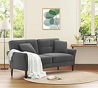 Vista 9 de Sofá biplaza de 69 pulgadas, sofás pequeños de terciopelo para espacios pequeños, sofás de dos plazas con 2 almohadas, sofás de dos plazas de Gris