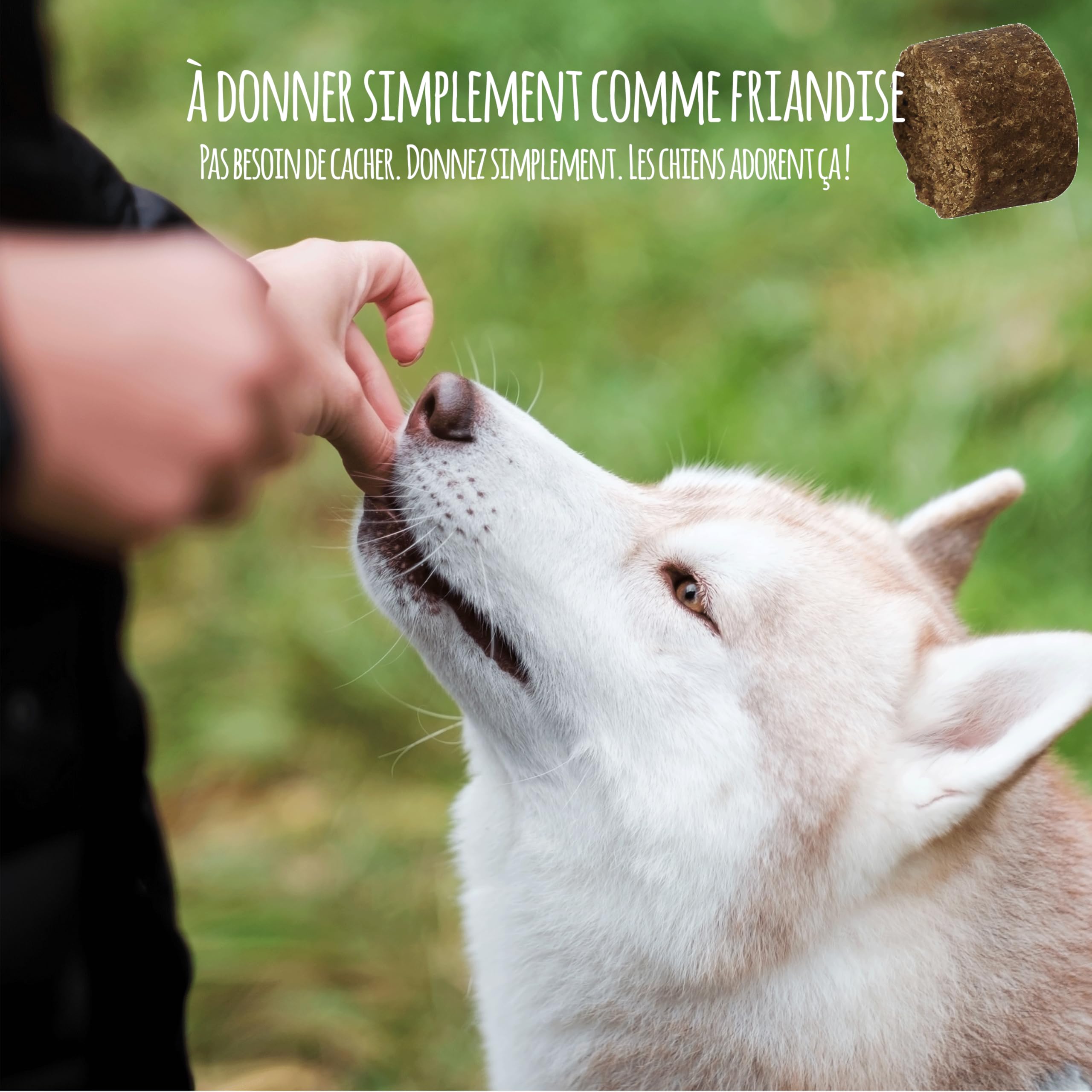 Zerotan Plus I Snack pour Chiens - avec Huile de Coco et Huile de Cumin Noir - Soutient Le Chien Pendant la Saison en Plein Air - Fabriqué en Allemagne (300g)