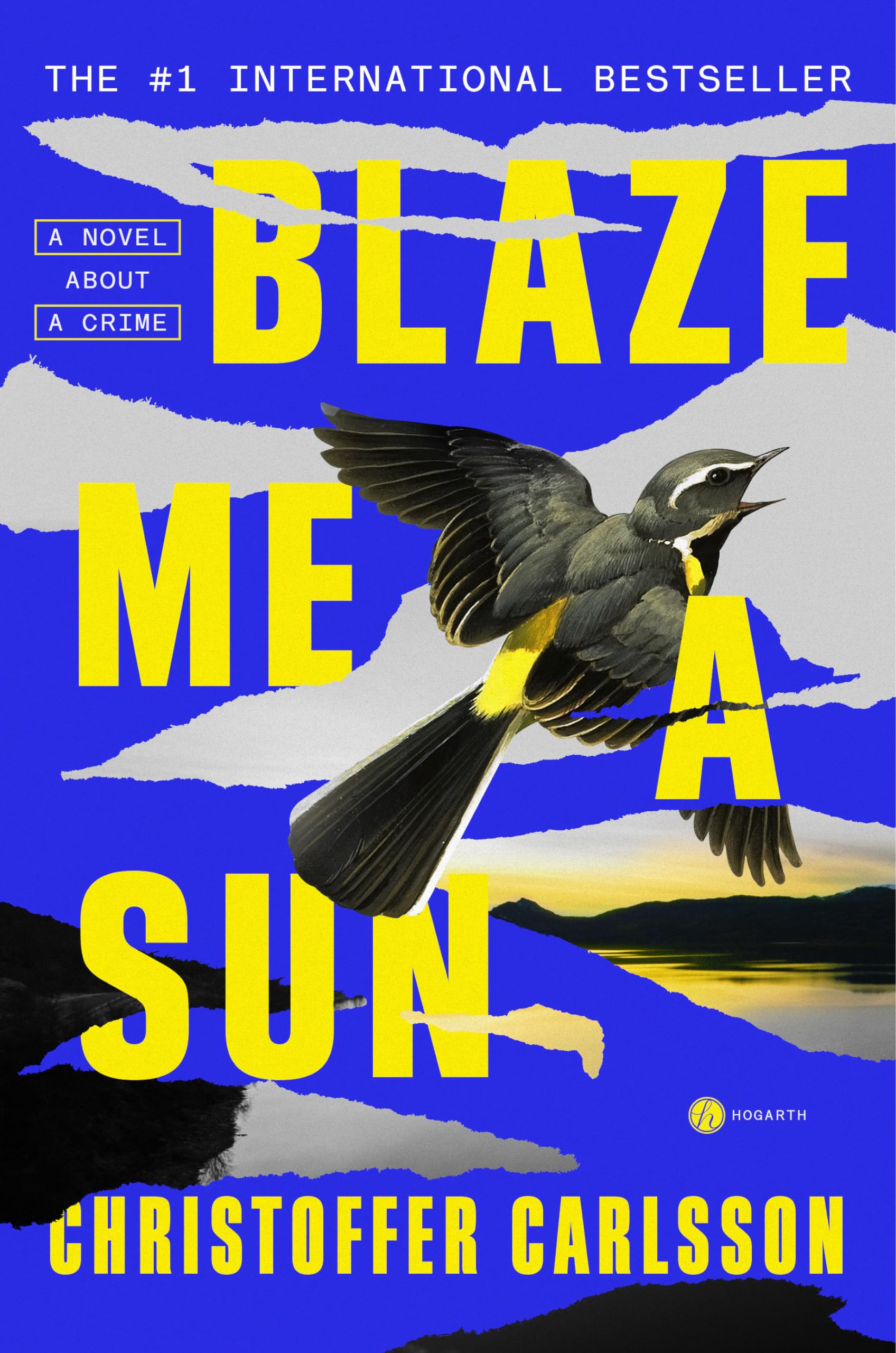 Buy Blaze Me a Sun: A Novel About a Crime — BookShops.in