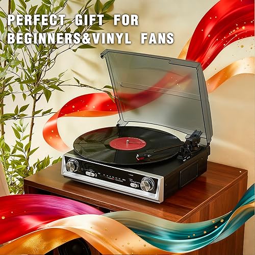 Miniatura 7 de Reproductor de registros-MT211