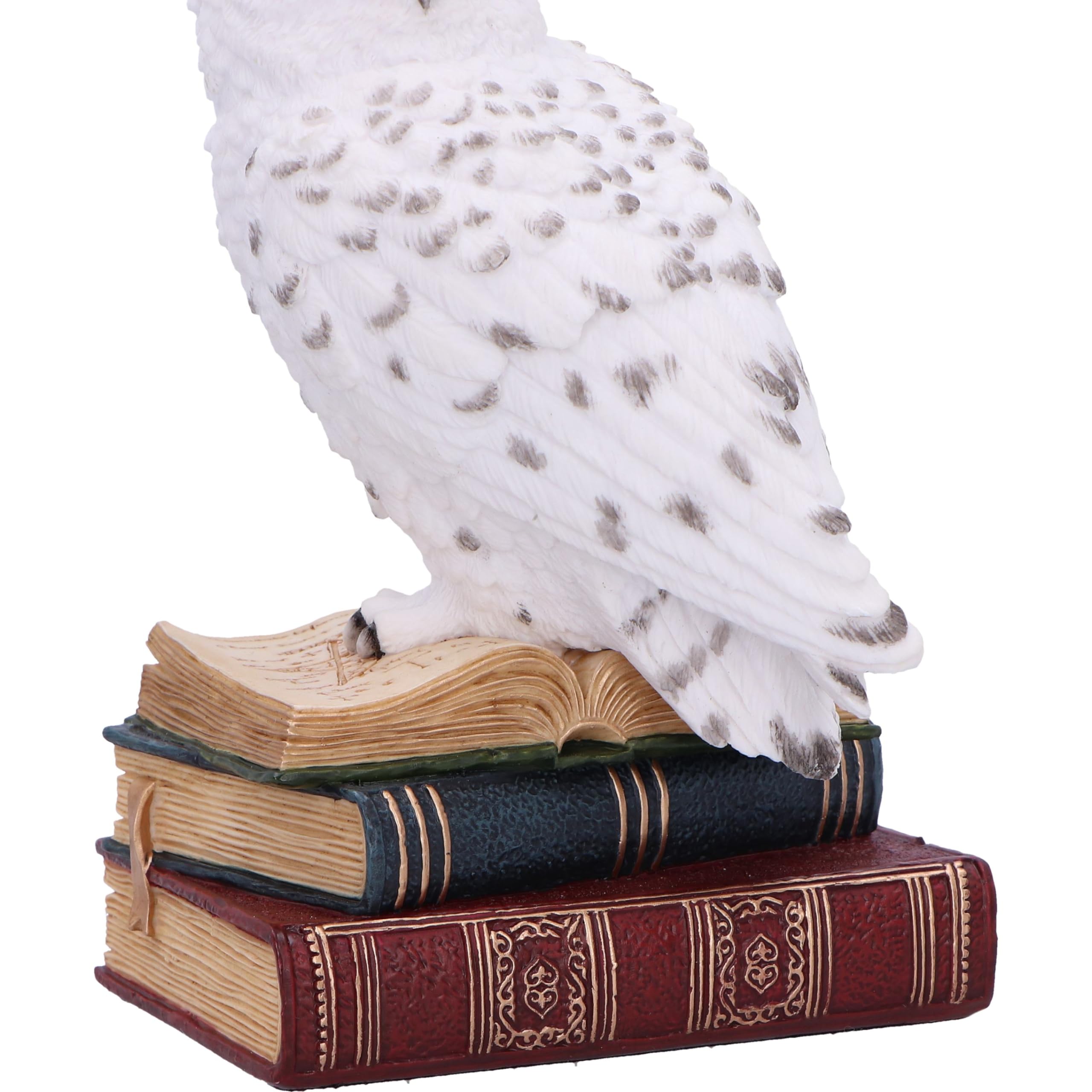 Nemesis Now Statuetta della Biblioteca della saggezza, 17 cm, in resina, bianca, gufo bianco su libri, ornamento per libri fantasy, espositore per libri, colata nella migliore resina, sapientemente