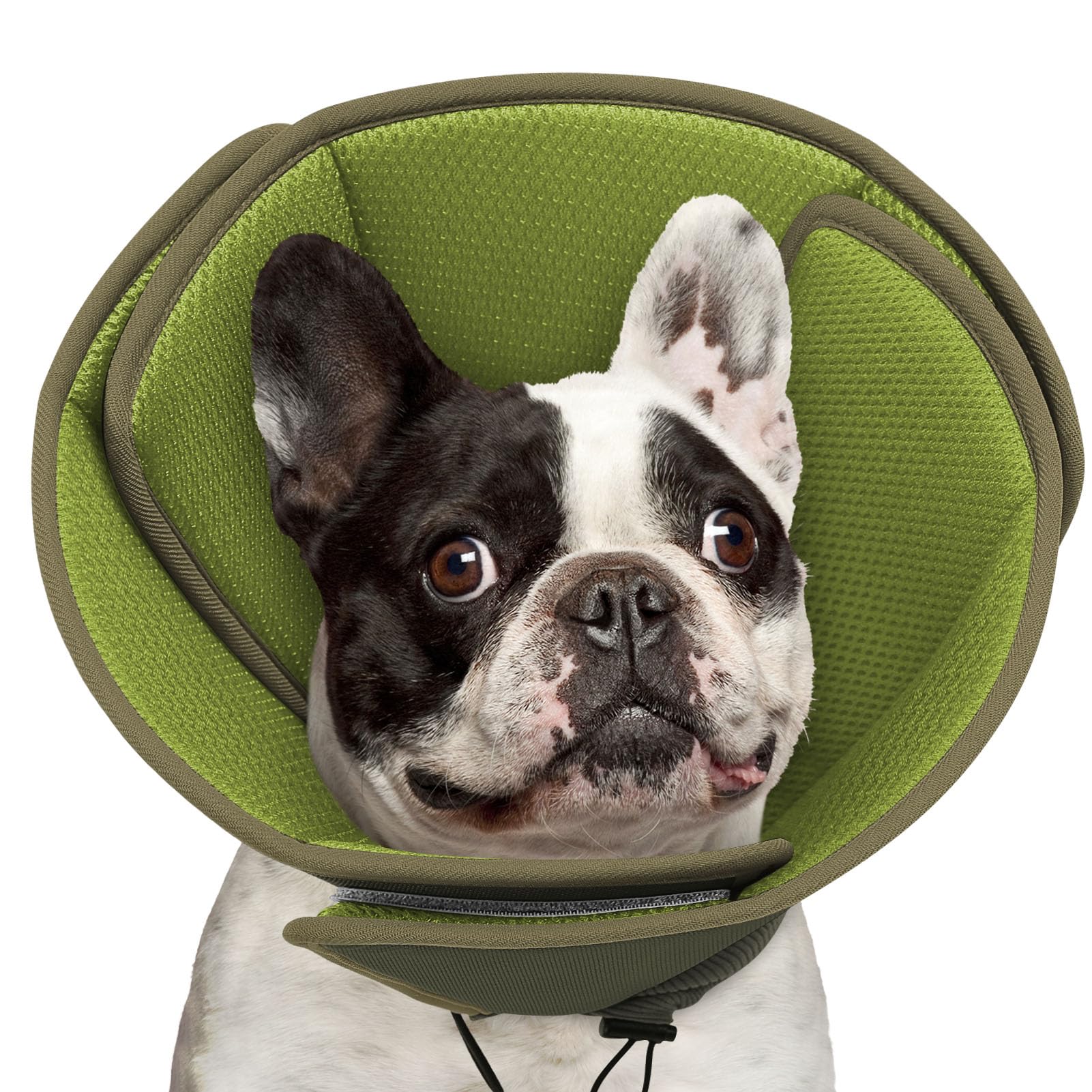 Photo 1 of Queenmore Reversible Soft Dog Cone - Dark Green, Medium